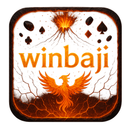winbaji logo